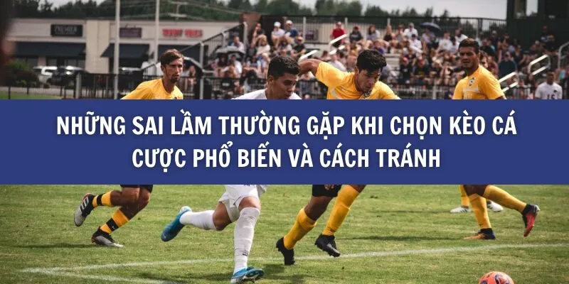 Những Kèo Cá Cược Phổ Biến Trên BK8 Và Cách Chọn Lựa