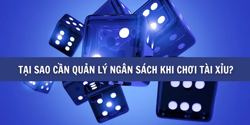 Cách Quản Lý Ngân Sách Khi Chơi Tài xỉu tại BK8